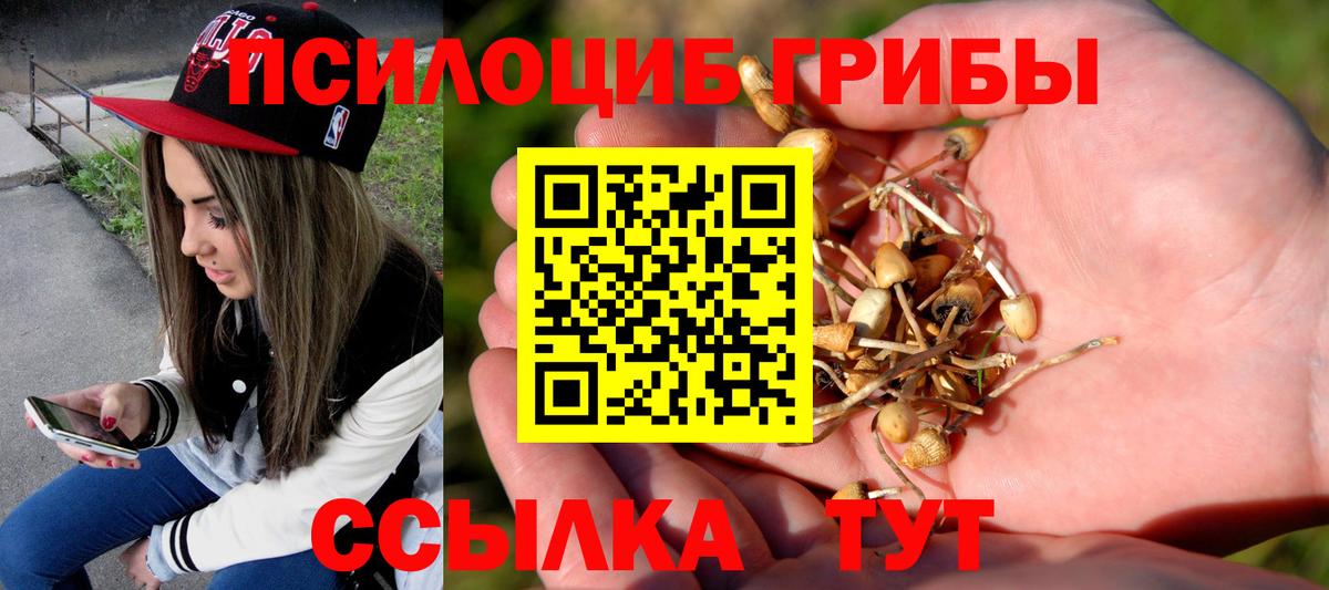 цена наркотик  Галлюциногенные грибы прущие грибы  Вход с VPN  Псилоцибиновые грибы мицелий  Стерлитамак 